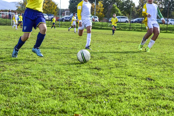 Três jovens jogadores de futebol. As crianças jogam futebol. Pernas — Fotografia de Stock