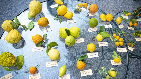 Farklı türlerden turunçgiller..