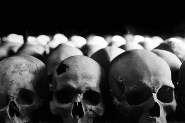 group of human skulls in the foreground on a black background