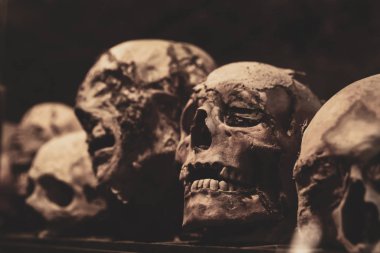 Skulls. Group of mummified skulls inside an ancient crypt