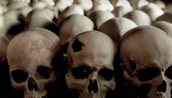 Group of human skulls in the foreground — ストック写真