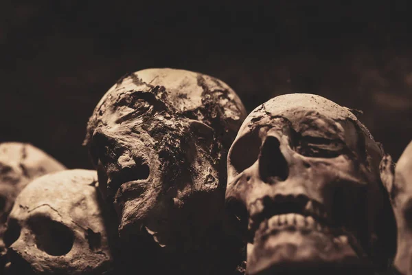 Skulls. Group of mummified skulls inside an ancient crypt — Stok fotoğraf