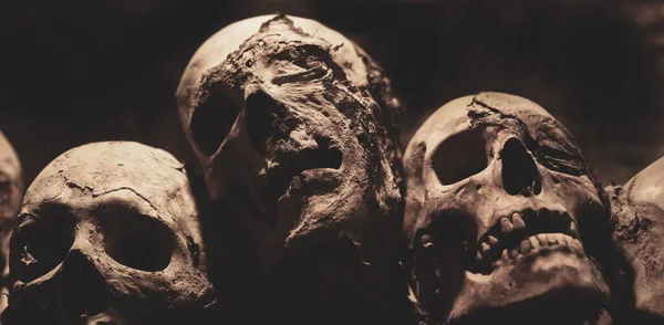 Skulls. Group of mummified skulls inside an ancient crypt — ストック写真