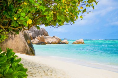 Güzel Seyşeller plaj manzara