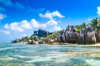 Güzel Seyşeller plaj manzara