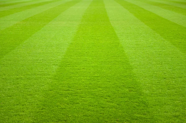 Soccer Game Playing Field — Stock Photo, Image