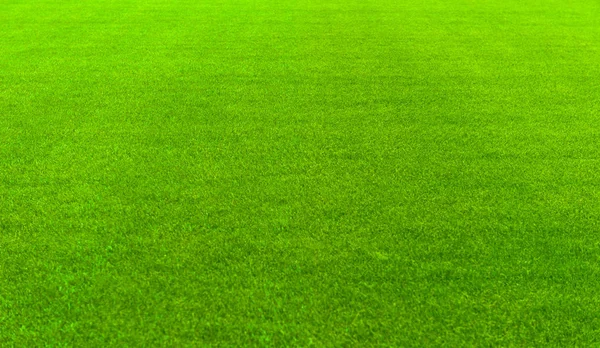 Soccer Game Playing Field — Stock Photo, Image