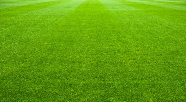 Fußballspiel — Stockfoto