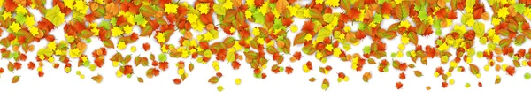 Bandeira de folhas de outono — Vetor de Stock