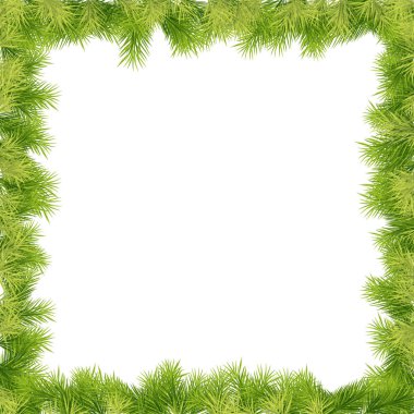 köknar ağacı dalları ile çerçeve