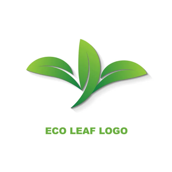 Green Leaf Plant Szablonem Projektu Logo Cienia — Wektor stockowy