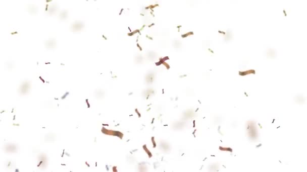 Flying Kleurrijke Feestelijke Confetti Animatie Witte Achtergrond — Stockvideo
