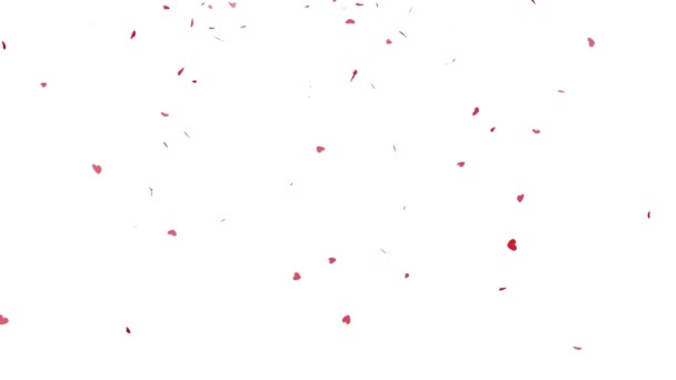 Red Hearts Animation Pour Saint Valentin Sur Fond Blanc — Video