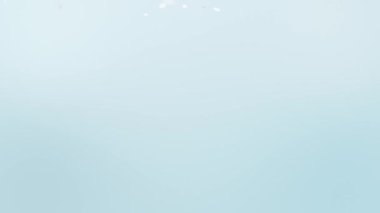 Düşen Çiçeklerle Bahar Arkaplan Canlandırması