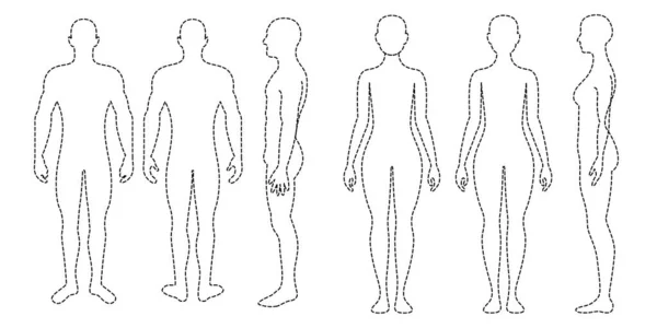 Cuerpo Masculino Femenino Tres Ángulos Frente Espalda Vistas Laterales — Archivo Imágenes Vectoriales