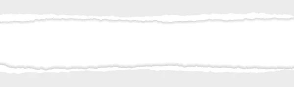 Широкий Банер Сірою Різьбою Або Шпалерським Папером Роздачі Паперу — стоковий вектор