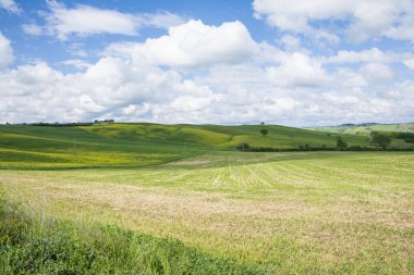 Güneşli bir gün manzarada Tuscany