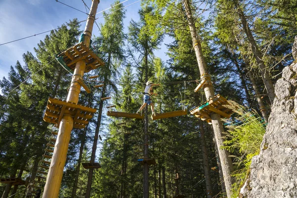 Jongen doet boom klimmen — Stockfoto
