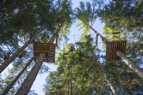 Tree climbing in a summer day — Stock Photo, Image