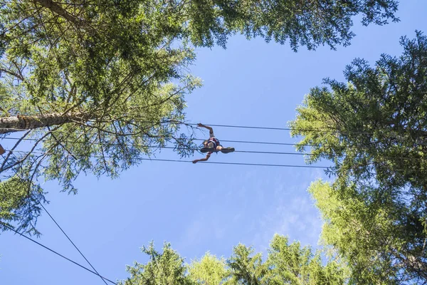 Tree climbing on sunny day — Stock Photo, Image