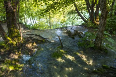 Plitvice Milli Parkı
