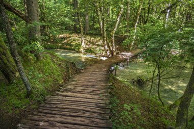 Plitvice Milli Parkı