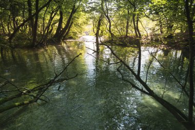 Plitvice Milli Parkı