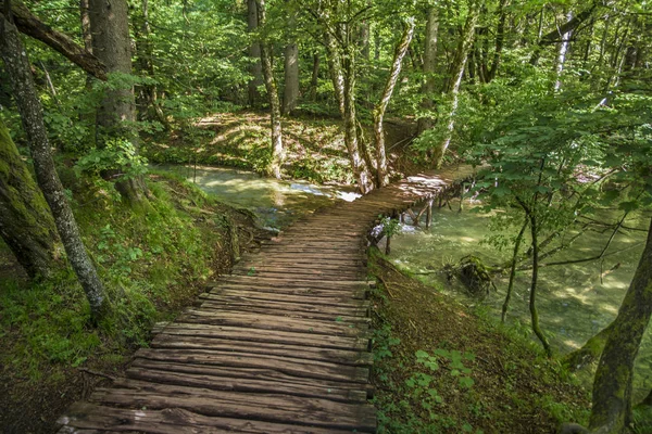 Плитвицкий национальный парк Стоковое Фото