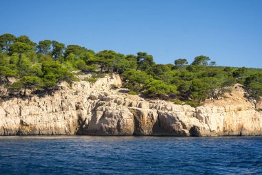 Cassis yakınındaki dere doğal park