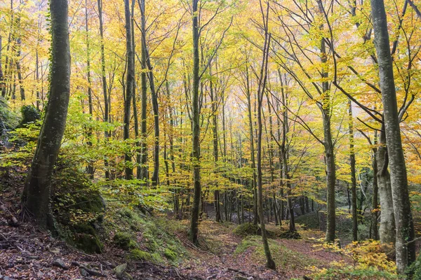 Jesienny krajobraz w Włochy — Zdjęcie stockowe