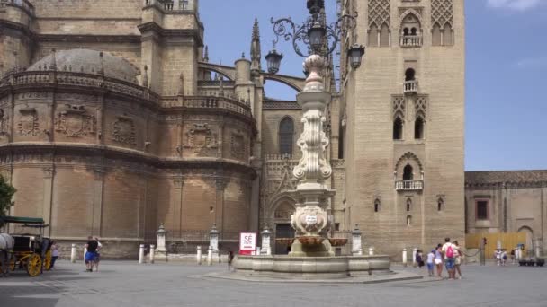 Seville Spain August 2017 People Stroll Admire Famous Seville Cathedral Royalty Free Stock Video