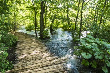 Plitvice Milli Parkı