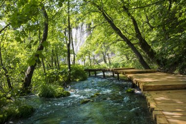 Plitvice Milli Parkı