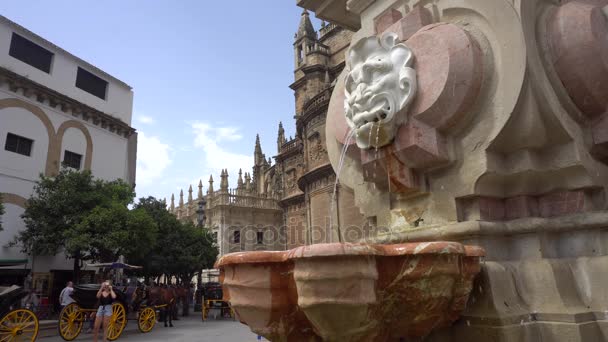 Sevilla España Agosto 2017 Gente Pasea Admira Famosa Catedral Fuente Video de stock