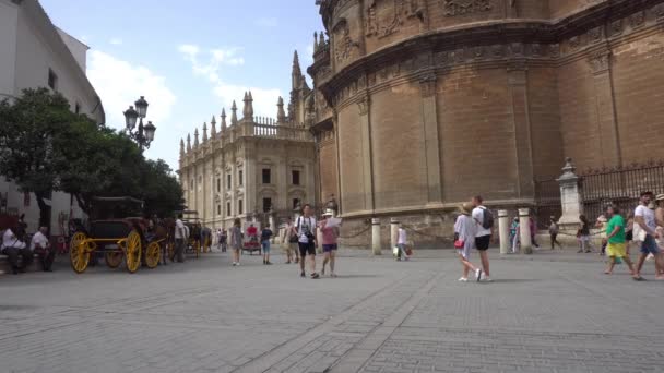 Seville Spain August 2017 People Stroll Admire Famous Seville Cathedral Royalty Free Stock Video