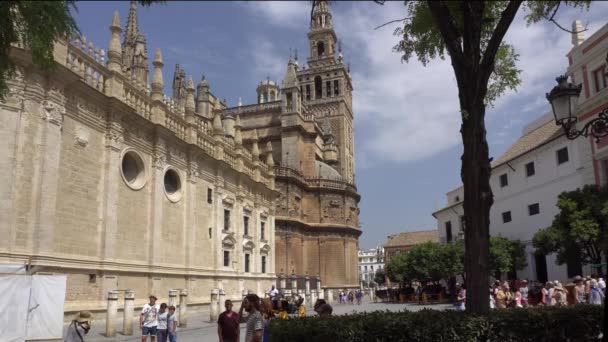 Seville Spain August 2017 People Stroll Admire Famous Seville Cathedral Royalty Free Stock Footage