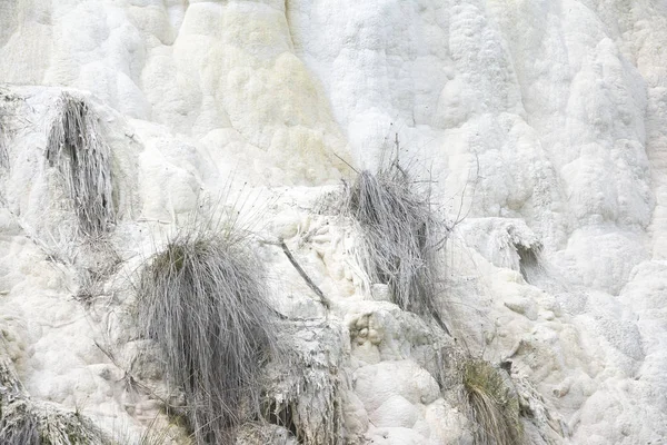 石灰岩の形成 — ストック写真