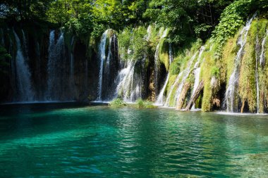 şelale anf ağacında güneşli bir Hırvatistan plitvice gölleri Milli Parkı