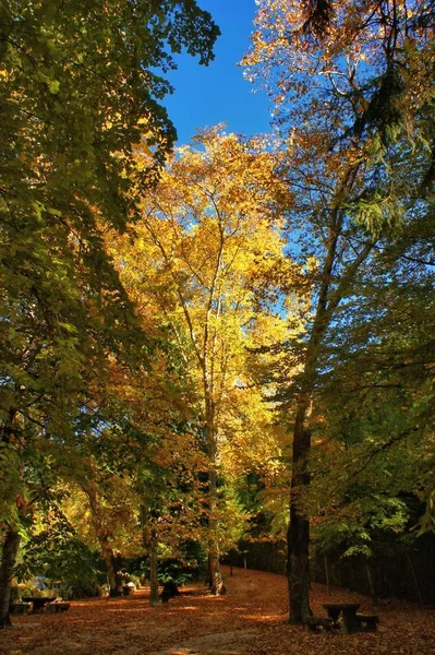 Garden National Park Peneda Geres Portugal — Stock Photo, Image