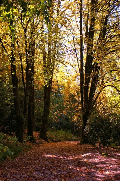 Garden National Park Peneda Geres Portugal — Stock Photo, Image