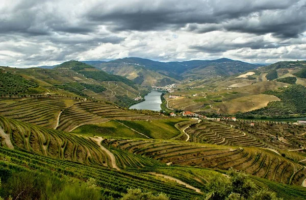 Douro Valley Vineyards Landscape Regua Portugal — Stock Photo, Image