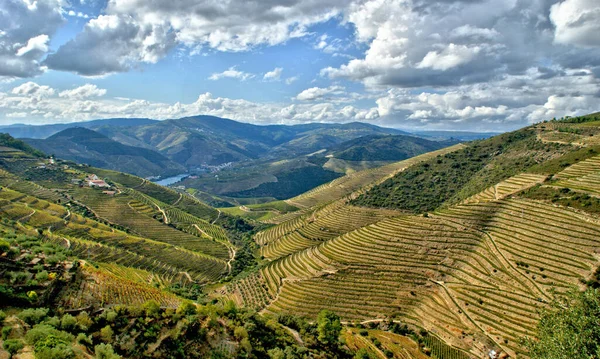 Vale Douro Vinhas Paisagem Perto Regua Portugal — Fotografia de Stock