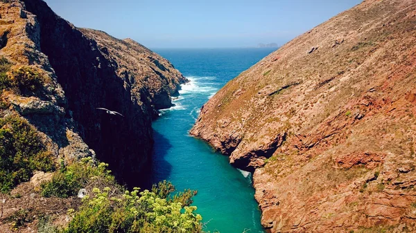 Berlengas Inseln Bei Peniche Portugal — Stockfoto