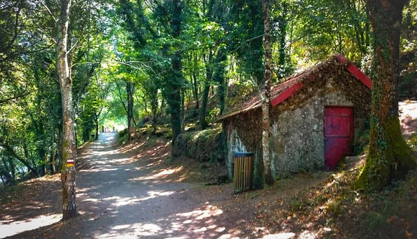 Sendero Través Del Lujoso Bosque Cerca Presa Queimadela Fafe Portugal —  Fotos de Stock