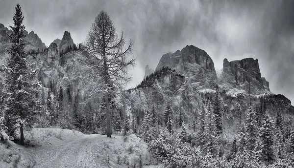 Mountain path in winter season — Stock Photo, Image