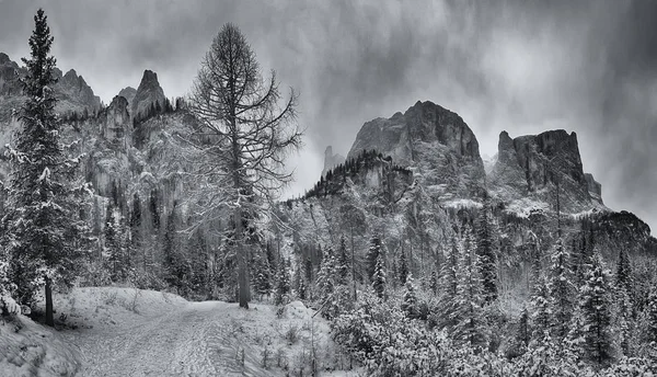 Sendero de montaña en temporada de invierno — Foto de Stock