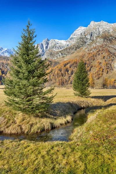 Autumn in the valley — Stock Photo, Image