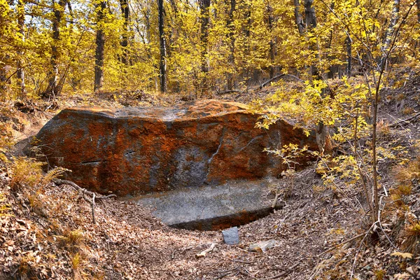 Grande pierre dans les bois avec des lichens à la surface — Photo