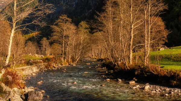 Coucher Soleil Sur Rivière Dans Forêt — Photo