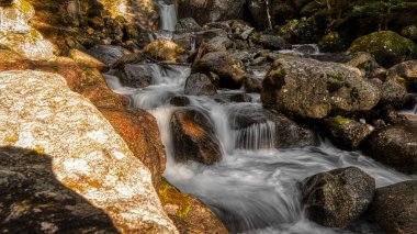 Ormanda şelale, uzun süre maruz kalma.
